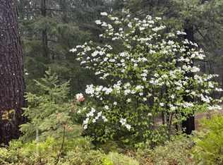 860 Frost Hill Rd, Dutch Flat, CA 95714