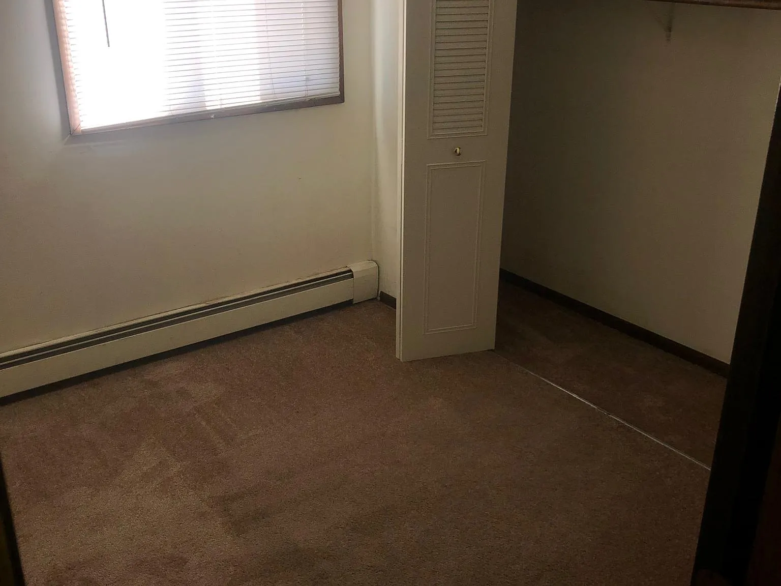 1 bed, $900 — Photo 3