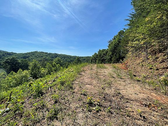 3rd image of LOT 16 Mane Loop Rd
