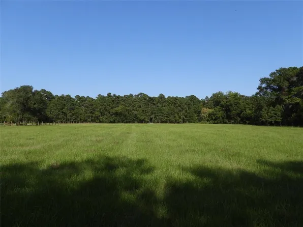 18855 Bethel Rd, Richards, TX 77873