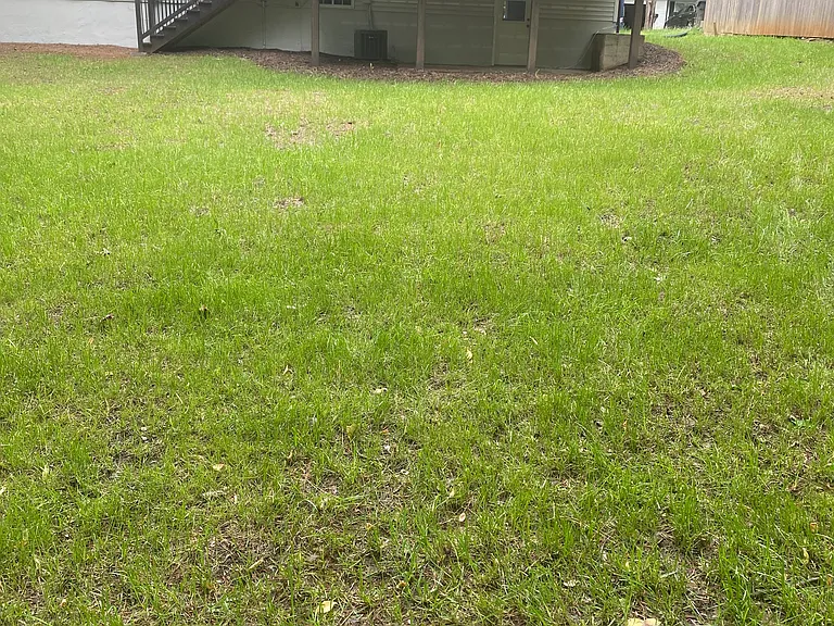Hembree Forest Cir — Photo 9