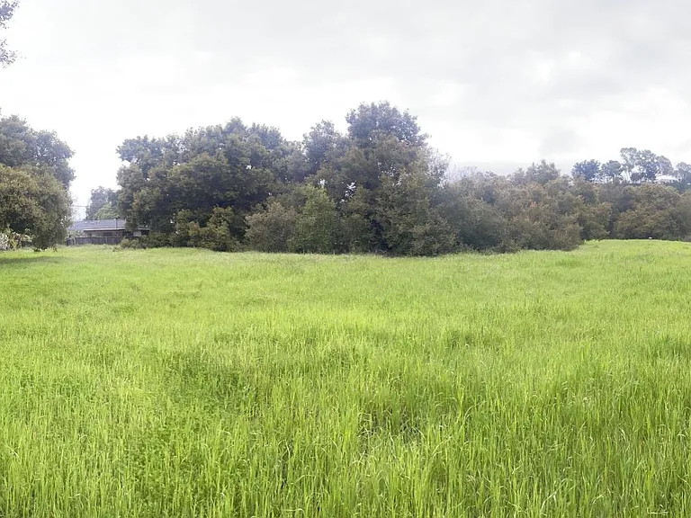 You can see rental in left side of this photo