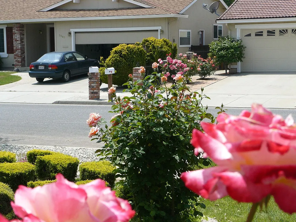Property photo 4