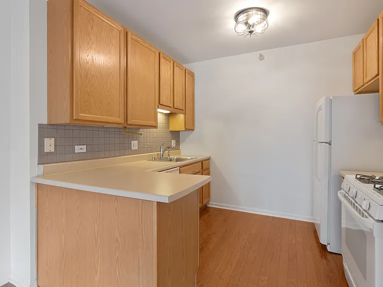 600 N Dearborn St #1505 — Photo 10