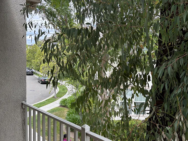 24124 Victoria Ln #59 — Photo 22