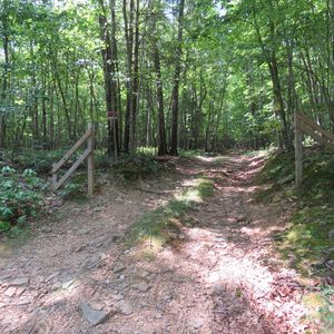 7 White Oak Ln #7, New Castle, VA, 24127