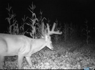 54786 Blakely Ln, Grand View, WI 54839