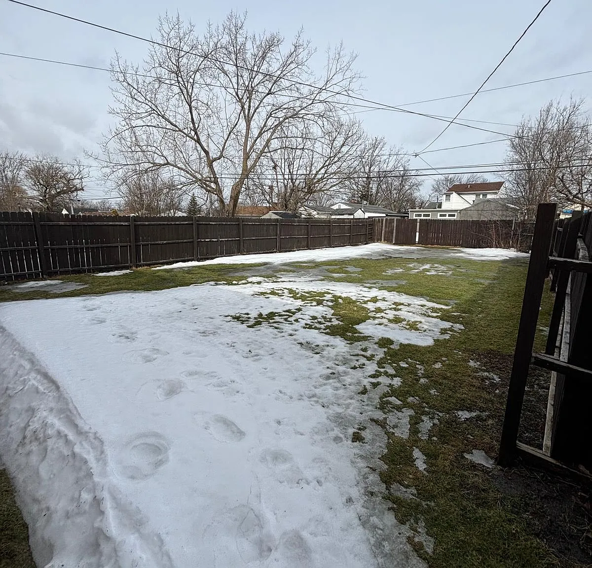 3 bed, 1000 sqft, $1,300 — Photo 3