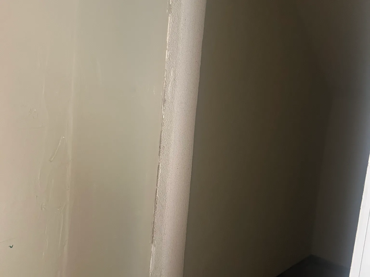 Studio, 350 sqft, $2,000 — Photo 4