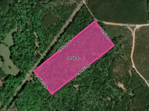 0 Soda Loop E Lot 4, Livingston, TX 77351