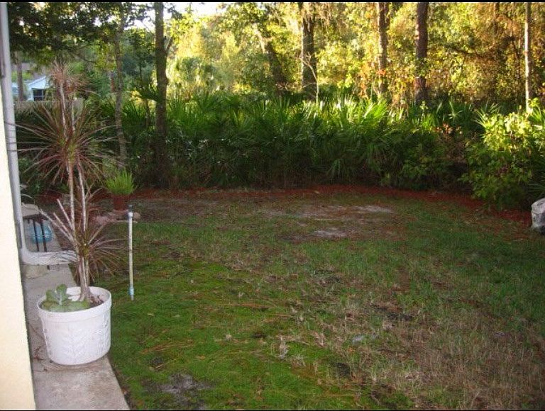 Rear yard, no rear neighbors