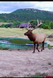 12630 County Road 175 #Tobe Creek Mesa Ranch, Kim, CO, 81049