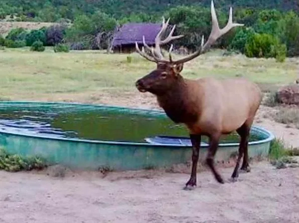 12630 County Road 175 #Tobe Creek Mesa Ranch, Kim, CO 81049