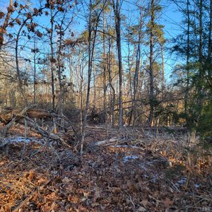 1147 Red Horse Dr, Goodview, VA, 24095