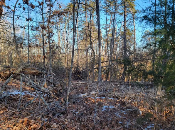 1147 Red Horse Dr, Goodview, VA 24095
