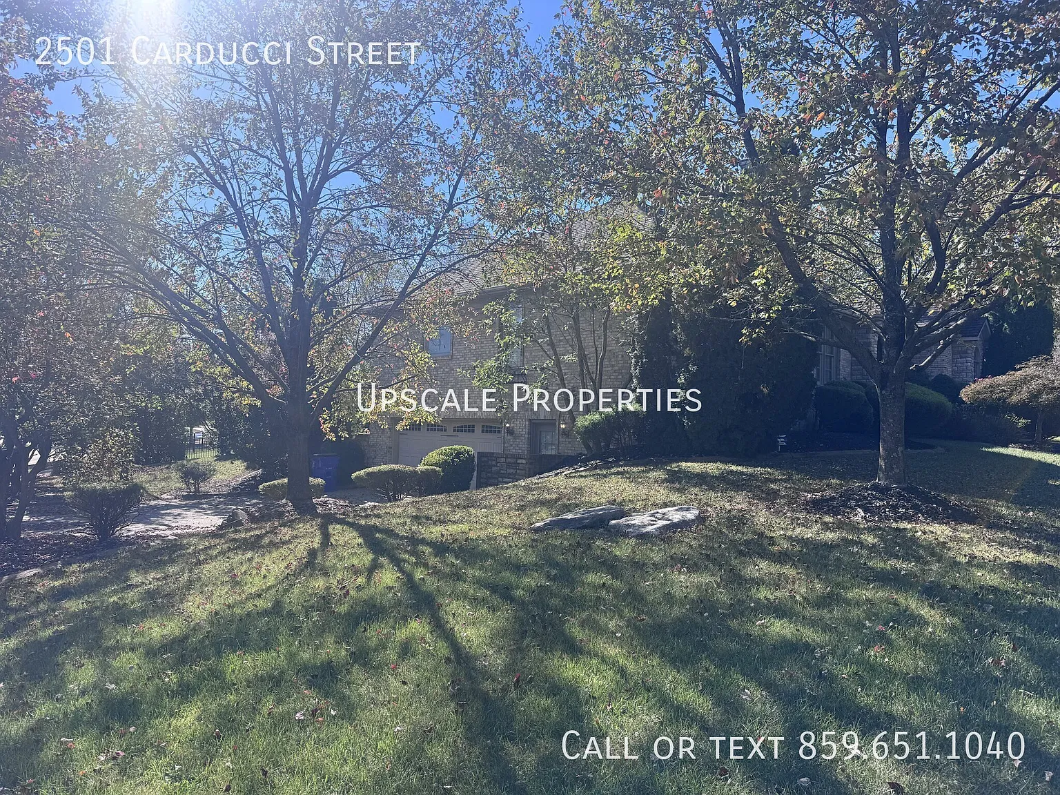 2501 Carducci Street — Photo 4
