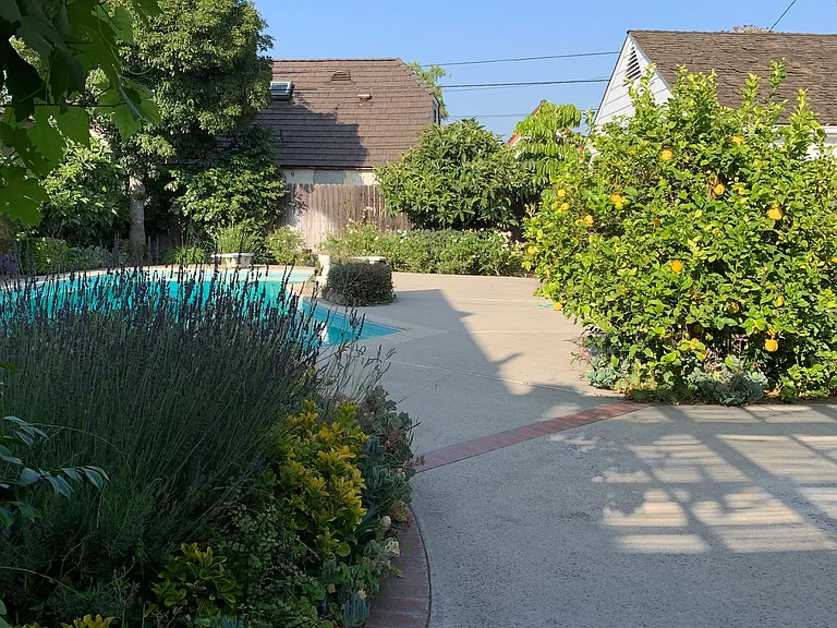 1460 Rubio Dr — Photo 11
