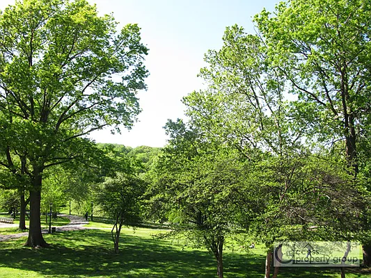 Sold by Access Property Group | media 11