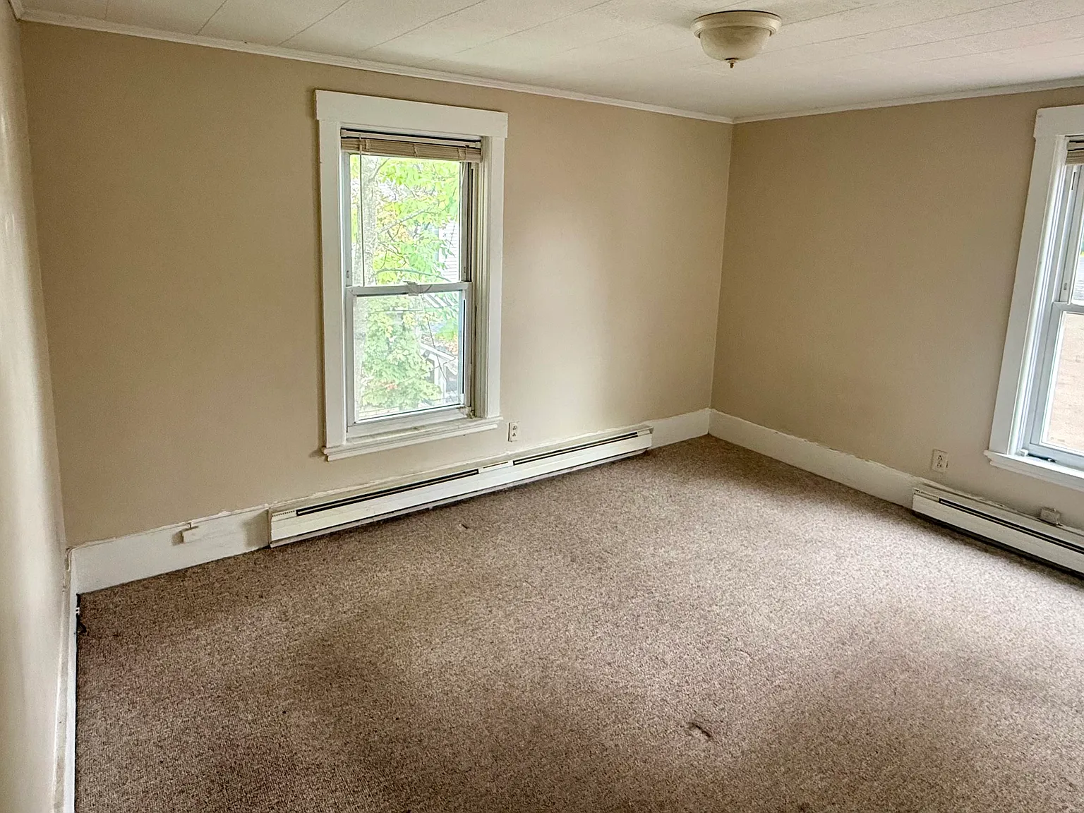 1 bed, 568 sqft, $1,600 — Photo 2
