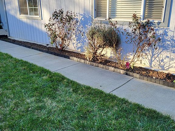 front walkway/ front yard