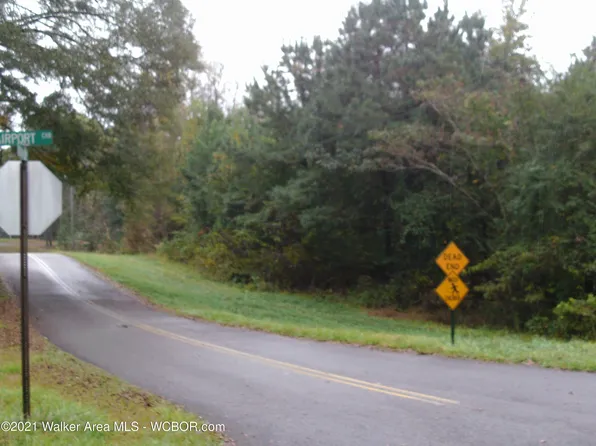 Airport Circle And Oakview St, Jasper, AL 35501