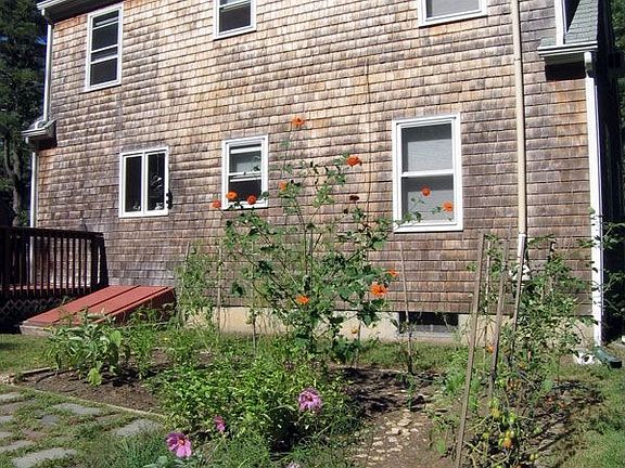 Back Yard - Vegetable and Flower Garden