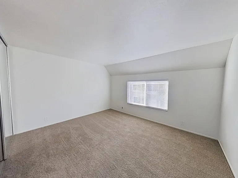 8 Albany — Photo 11