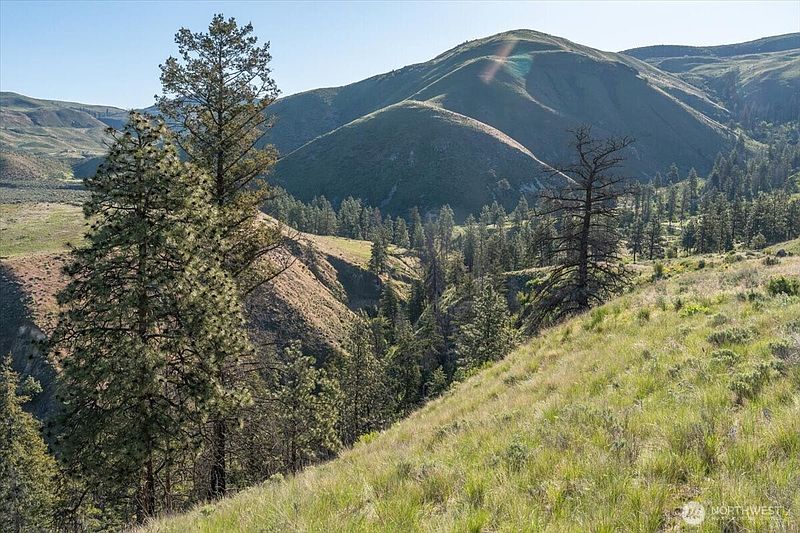 5th image of 25 Chelan Hills Acres Road