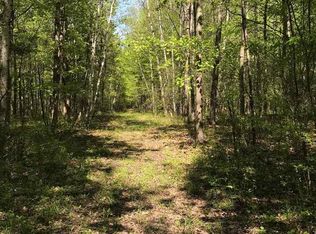 266 E Swartz Rd, Twining, MI 48766