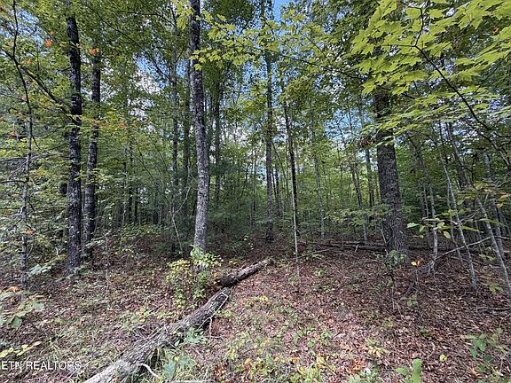 3rd image of 144 Horse Creek Rd