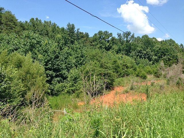 2nd image of 4900 3 Island Rd