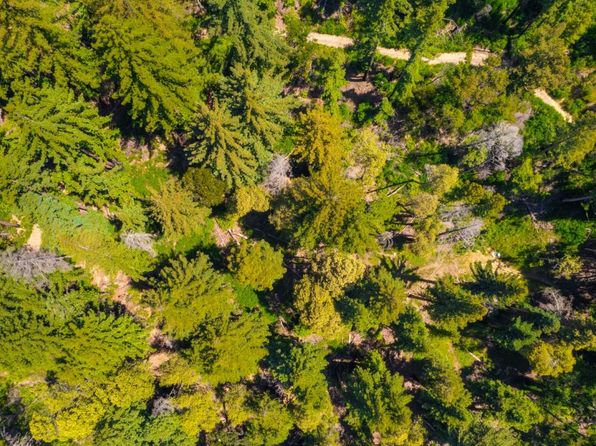 3 Bloom Grade Rd, Boulder Creek, CA 95006