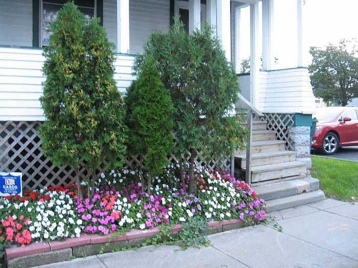 Front of house