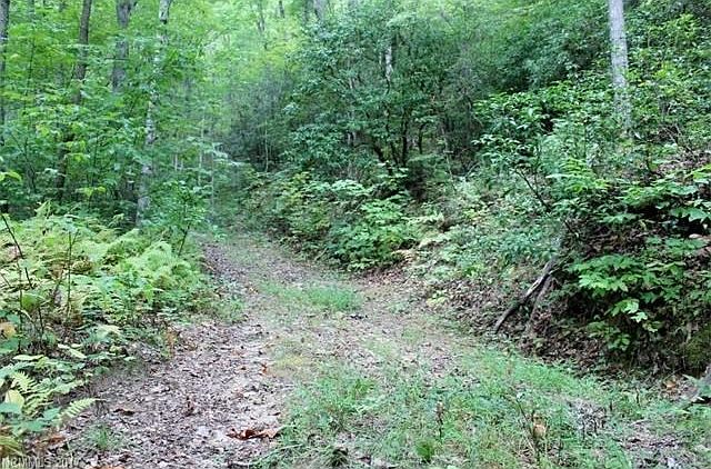 2nd image of Galunlati Rd