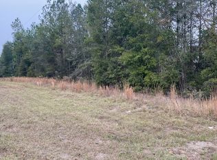 SW Jeanlea Pl, Fort White, FL 32038