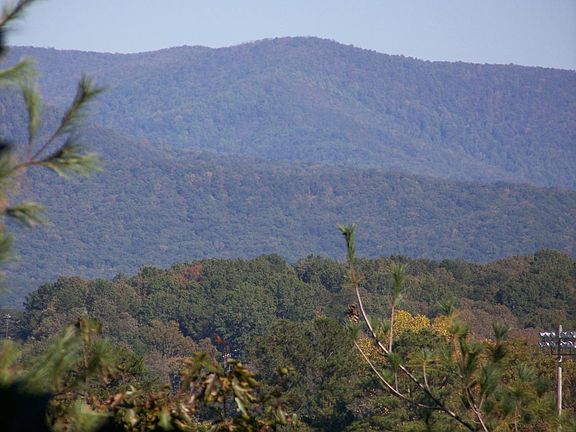 View From Upper Deck