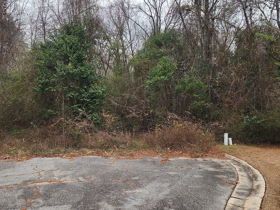 2nd image of 0 Kings Ct N