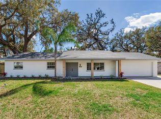 303 Suzette Dr, Brandon, FL 33511