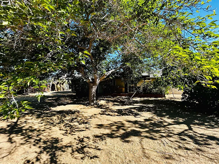 56579 Piute Trl — Photo 31