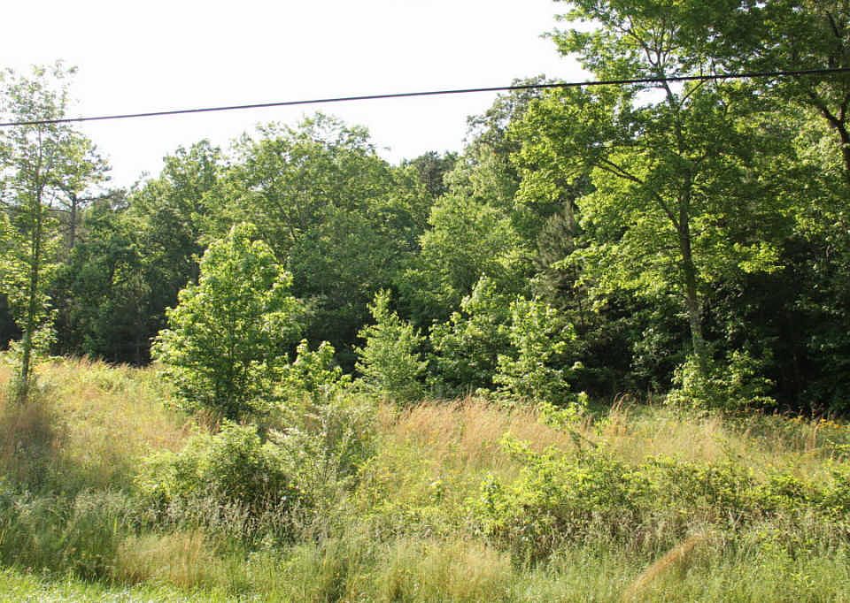 0 Hudlow Loop Rd, Dunlap, TN 37327 Zillow