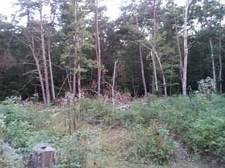 4th image of 468 Dollar Dr