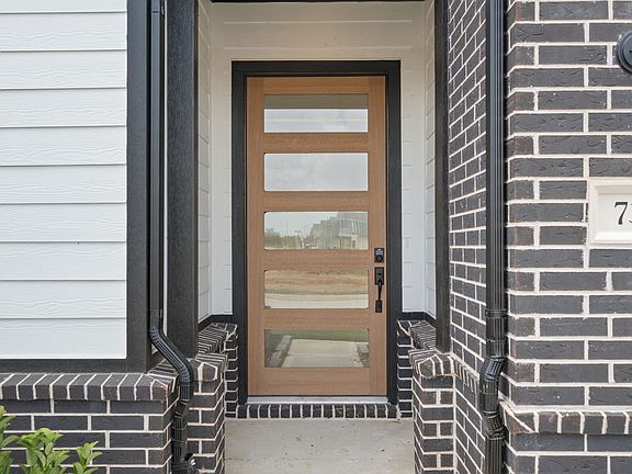 732 Golden Aster