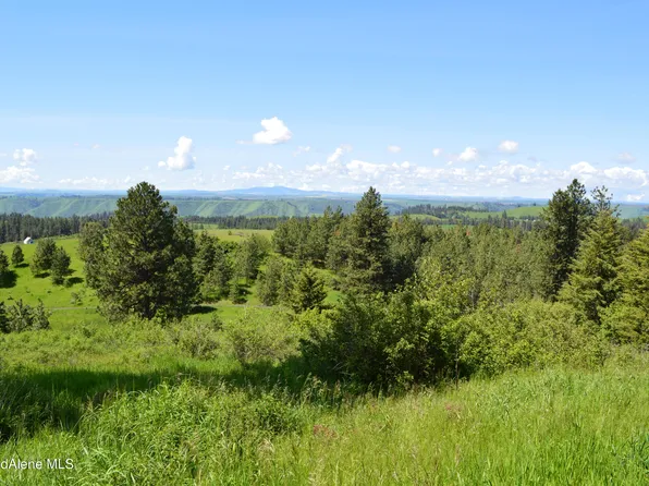 Simler Rd Parcel 1, Kamiah, ID 83536