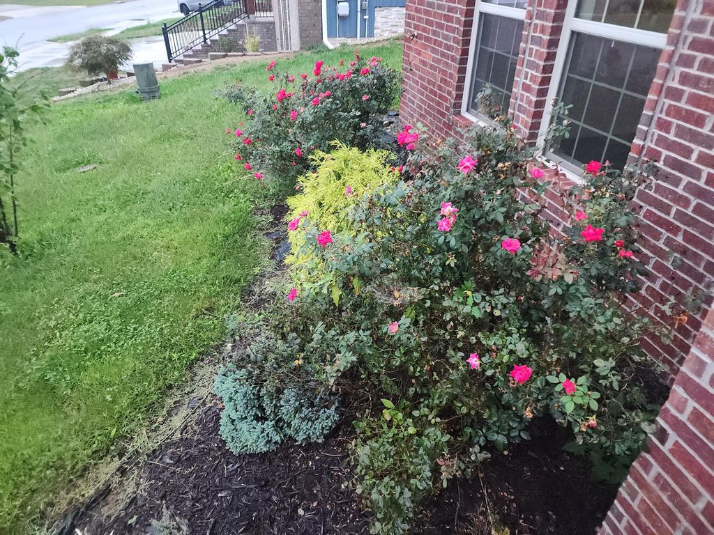 2086 Bull Run Road, Ozark, MO - View 3