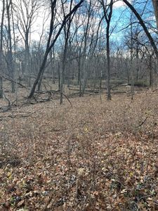 6835 Panorama Dr, Panora, IA, 50216