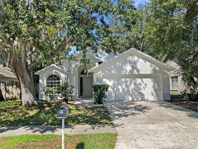10905 Brucehaven Dr, Riverview, FL, 33578
