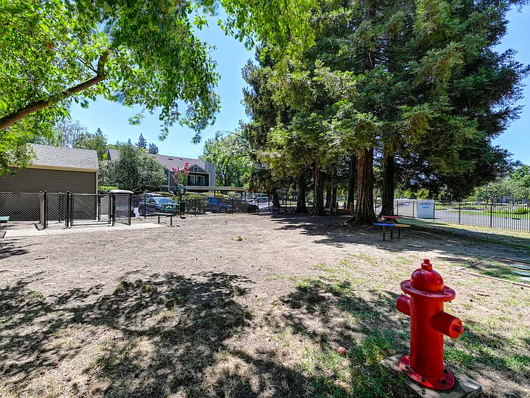 Bark Ave Dog Park