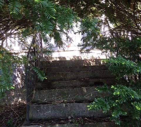 3rd image of 101 Faywood Ln