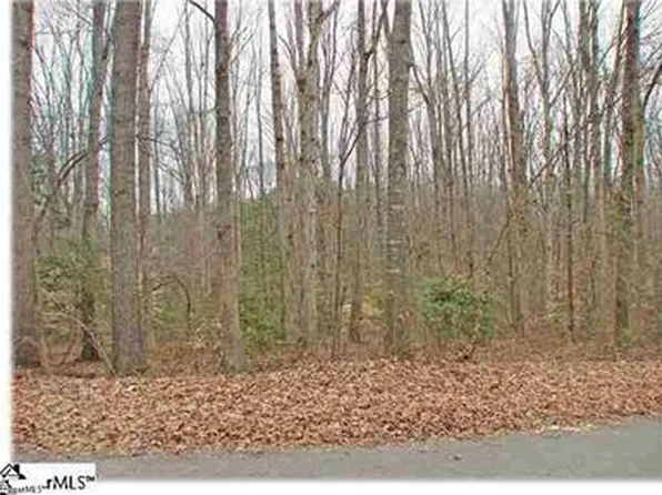 Driftwood Dr, Piedmont, SC 29673