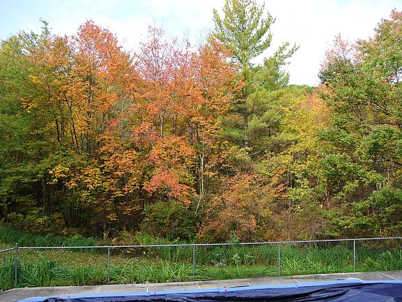 3rd image of 60 Laurel Mountain Road